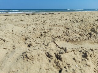 Spiaggia del mare e orizzonte in estate
