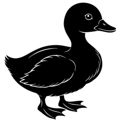 duck vector illustration