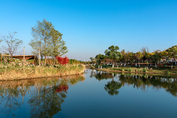 Obraz premium landscape with a lake and trees