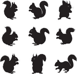 Collection of Squirrel Silhouettes in Various Poses 