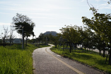 road in the park