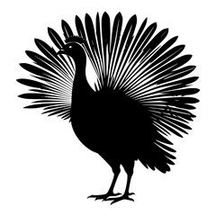 Turkey vector illustration
