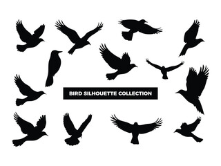 Vector Bird Silhouette Collection, Flying, Perching, and Soaring Birds for Graphic Design