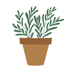 Isolated flat vector illustration of clay pot with rosemary on white background. Cottagecore lifestyle. Herbs and spices for the kitchen
