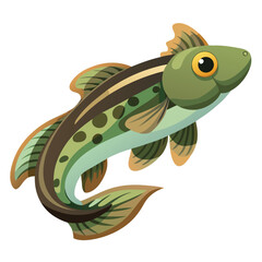 Clean Mudskipper Fish Vector Illustration