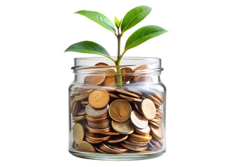 Plant growing from gold coin stacks representing financial growth and investment success concept idea png on transparent background