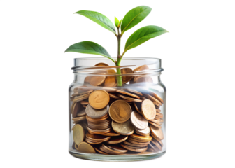 Plant growing from gold coin stacks representing financial growth and investment success concept idea png on transparent background