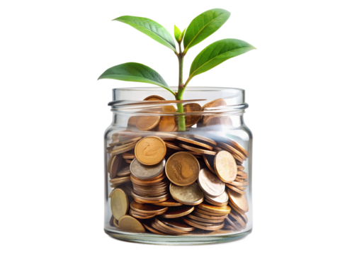 Plant growing from gold coin stacks representing financial growth and investment success concept idea png on transparent background - Powered by Adobe