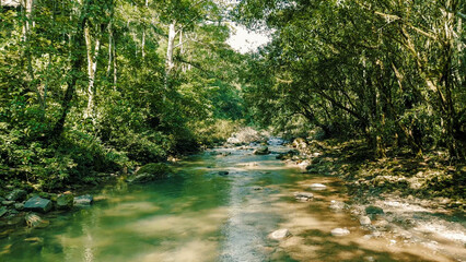 Serene river winding through dense Peruvian jungle foliage.