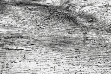 wood grain texture background wooden