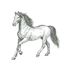 A sketch art of a horse running, showing the initial outline