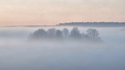 Fototapeta premium Pastel-colored sunrise illuminating a misty valley, featuring bare trees and a foggy forest in the background, creating a tranquil winter landscape filled with serene beauty