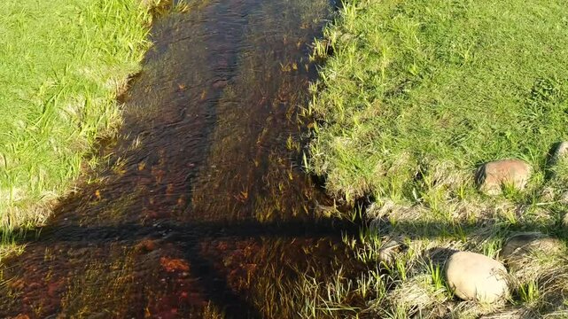 a narrow river between banks with green grass