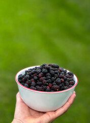 ADP white bowl of mulberries