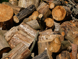 A pile of firewood for winter storage.