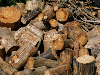 A pile of firewood for winter storage.