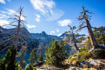 Autumn landscape in Aiguestortes and Sant Maurici National Park, Spain