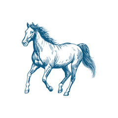 A sketch art of a horse running, showing the initial outline