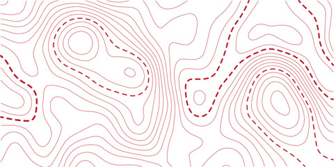 Topographic red line on White background texture. Seamless pattern with background. Background with red lines. 