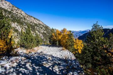 Autumn landscape in Aiguestortes and Sant Maurici National Park, Spain