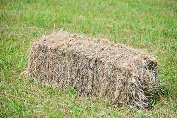 Hay Bale
