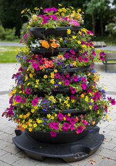 flowers in a vase in the park