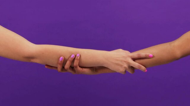 Joined Hands in Celebration of Women's Day Against Purple Background &ndash; Symbol of Unity, Empowerment, and Feminine Solidarity in 4K Ultra HD