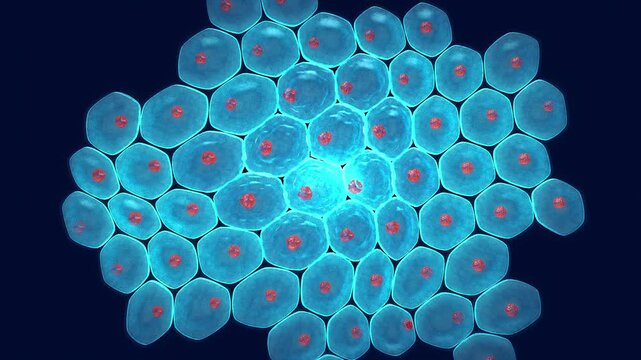 Melanoma is the most dangerous type of skin cancer.  Increased levels of ultraviolet (UV) exposure is the main reason for melanoma. The cells can also metastasize to other parts of the body 
