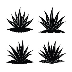 aloe vera bundle design 