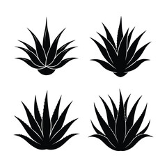 aloe vera bundle design 