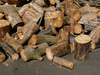 A pile of firewood for winter storage.
