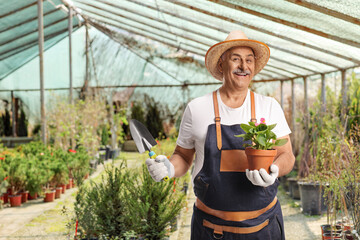 Male gardener holding a flower pot