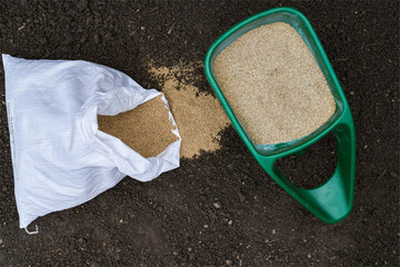 Fescue Grass Seed in Spreader and Bag on Soil