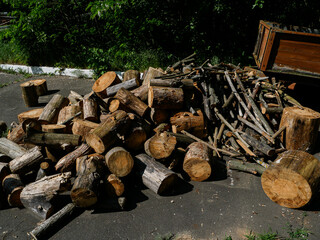 Various logs for firewood preparation.