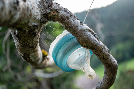 Babyflasche am Baum zur Abgew&ouml;hnung,  Pacifier tree