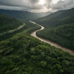 Aerial View of Dense Rainforest Canopy with River