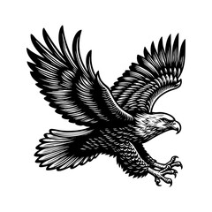 Fototapeta premium eagle sketch engraving black and white outline. Scratch board imitation.