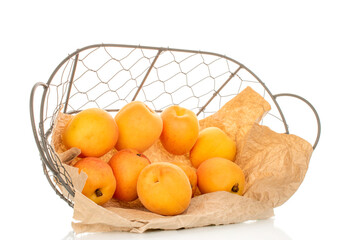 Sweet organic apricots isolated on white background, close-up.