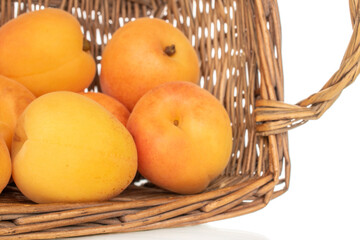 Sweet organic apricots isolated on white background, close-up.