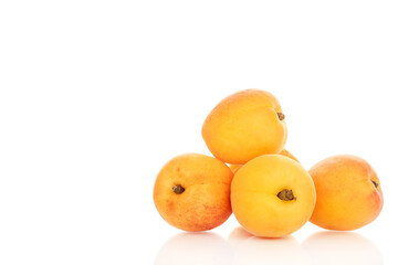 Sweet organic apricots isolated on white background, close-up.