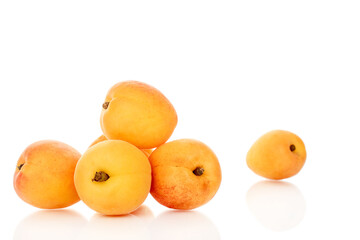 Sweet organic apricots isolated on white background, close-up.