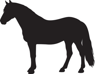 Fleuve Horse in silhouette pure white background. 