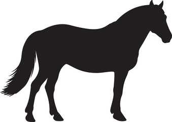 Groningen Horse horse in silhouette pure white background.