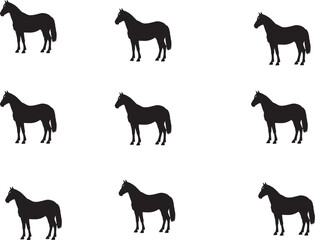 Groningen Horse in silhouette pure white background.