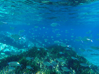 Ocean blue underwater with sunrays, Underwater Sea Deep Water Abstract Sunshine, sea wave , clean waters in summer time, Natural underwater seascape, sand on ocean floor and water surface with sunligh