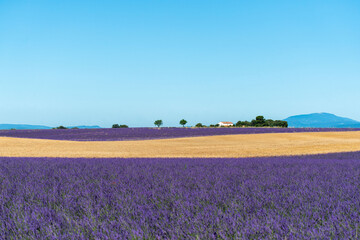 Provenza