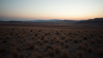 Rolling Farmland with Hay Bales at Sunset
