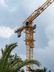 Fotobehang Palmboom Tower Crane with Lattice Boom Against Overcast Sky  © Aleksandr