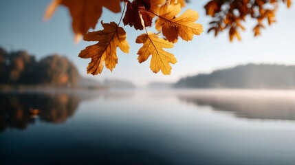 A leaf is hanging over the water. The water is calm and the sky is blue. The leaf is yellow and it is in the foreground