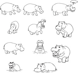 Cute Hippopotamus Line Art:  Illustrations & Drawings of Hippos